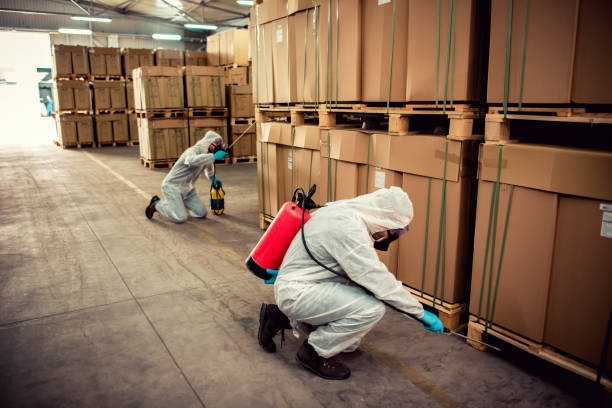 Insect Control in Escalon, CA