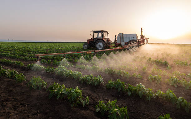 Wildlife Control Services in Escalon, CA