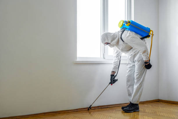 Best Emergency Pest Control  in Eslon, CA