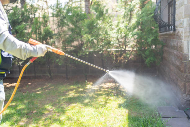 Best Insect Control  in Eslon, CA
