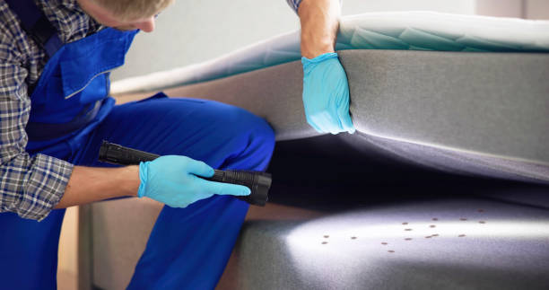 Best Mosquito Control Services  in Eslon, CA