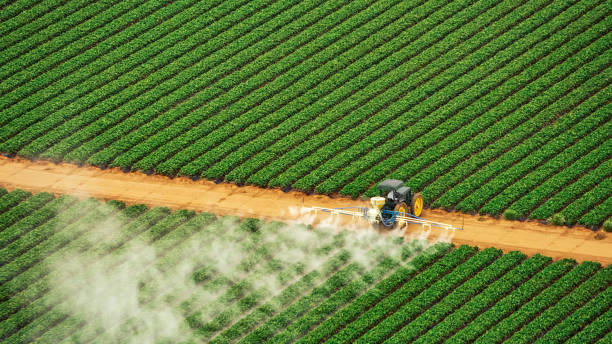 Escalon, CA Pest Control Company