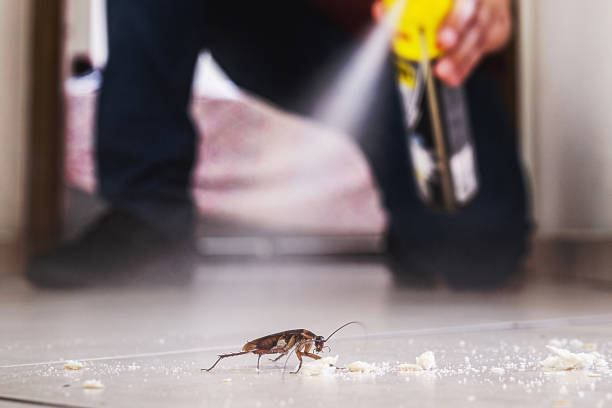  Eslon, CA Pest Control Pros